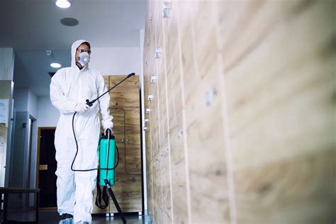 Reliable Mold Removal Services Expert Tips For Finding Top Mold