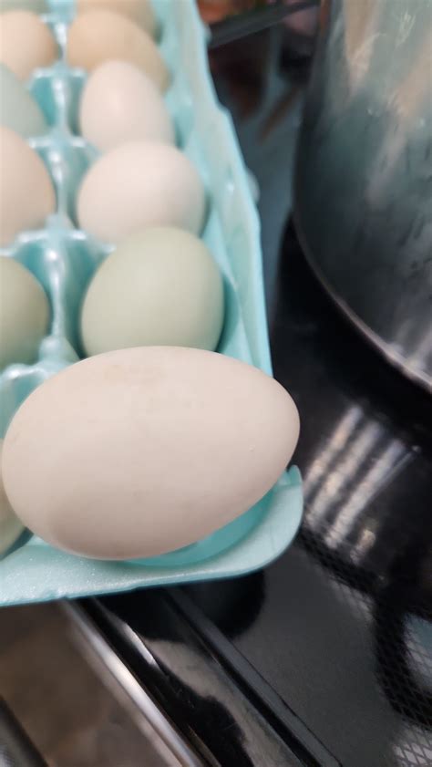 how to know if eggs are still good