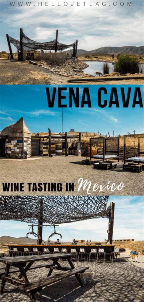 Vena Cava Winery The Most Unique Winery In Mexico