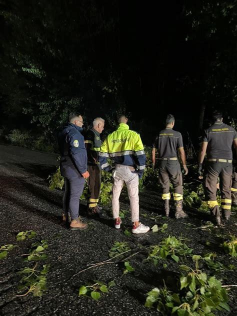 Grosso Albero Caduto A Soriano Calabro Bloccata L Intera Carreggiata