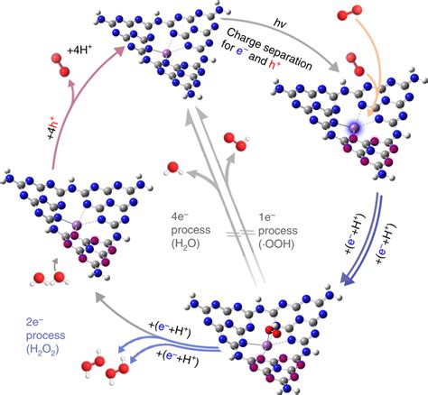 H Zu H O Mechanismus