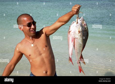 Pargo Fish Hi Res Stock Photography And Images Alamy