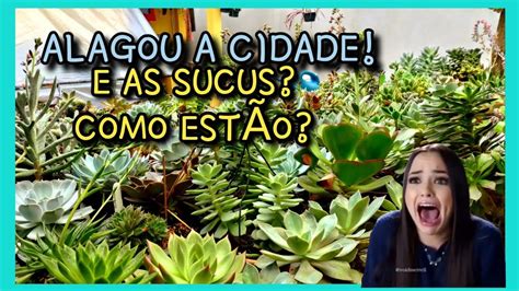 De Graus O Extremo Dita Como O Cultivo Simone Felic Youtube