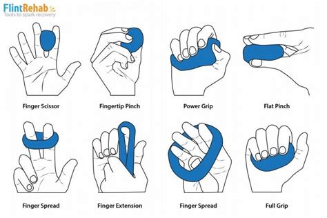 Effective Hand Therapy Putty Exercises + Free PDF | Flint Rehab