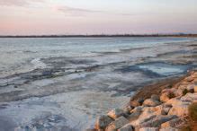 Un Giorni In Camargue E Alla Saline De Giraud Cosa Vedere