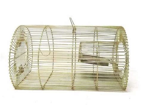 5 Wire Heavy Rat Trap Catchup Mouse Cage At Rs 140 Piece In Ghaziabad