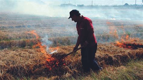 Autorizan las quemas agrícolas en la provincia de Chiloé RadioSago 94