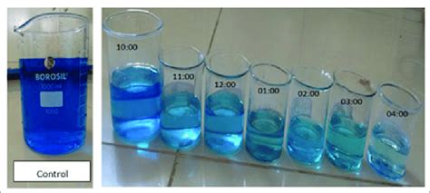 Photo Catalytic Degradation Of Methylene Blue Using Gymnema Sylvestre