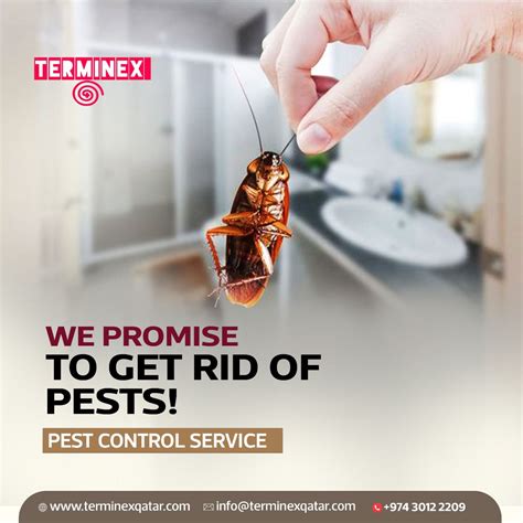 🚫 Tired Of Unwanted Pests Invading Your Home Say Goodbye To