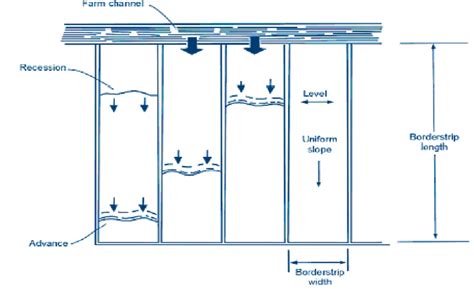 Check Flooding And Border Strip Methods Of Irrigation 41 Off