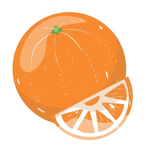 Premium Vector Fresh Orange Fruit Orange Slice Vector Illustration