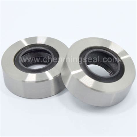 Stianless Steel Ptfe Oil Seals With Triple Black Lip Ptfe Oil Sealscrew Compressor Oil Seal