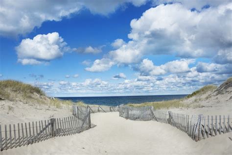 Your Ultimate Guide to the Best Beaches in Provincetown, MA - Admiral's ...