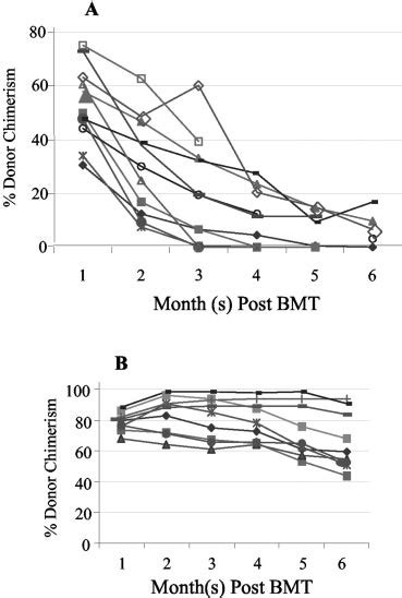 Production of donor T cells is critical for the maintenance of stable ...