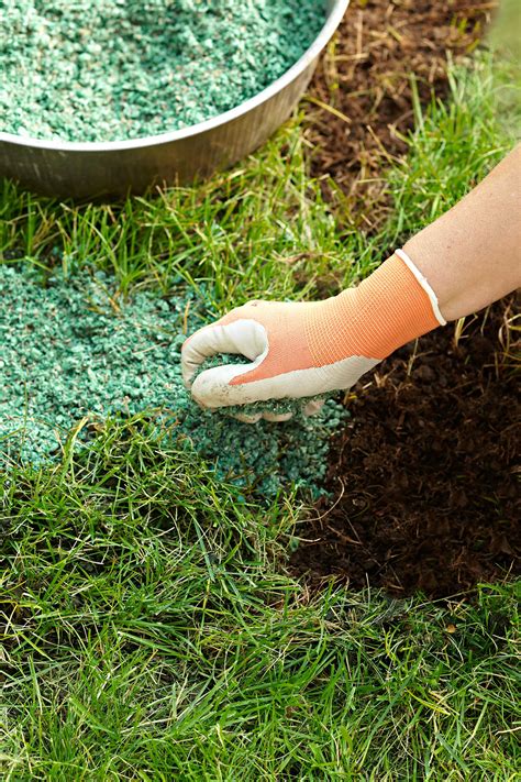 Top Lawn Fertilizing Techniques And How They Help Your Lawn Grow All Year Round Residence Style