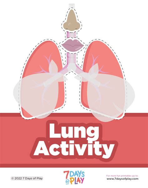 Lung Anatomy Printable For Kids 7 Days Of Play