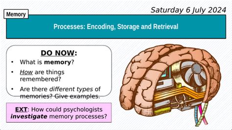 Aqa Gcse Psychology Encoding Storage And Retrieval Processes Of