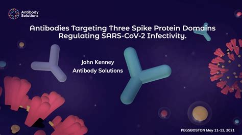 Original Research Targeting Three Spike Protein Domains Regulating Sars Cov 2 Infectivity