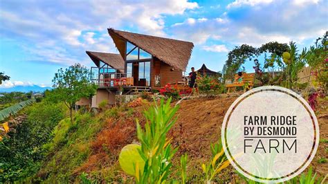 Farm Ridge By Desmond Farm Pantabangan Nueva Ecija Youtube