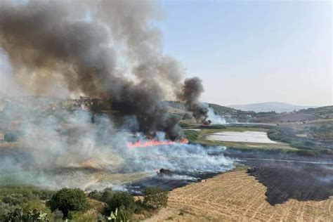 Serradifalco Wwf Incendio Ha Distrutto Riserva Lago Soprano