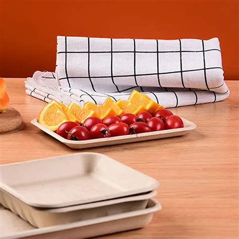 Sugarcane Disposable Paper Fresh Bagasse Meat 10 X 7 Tray From China