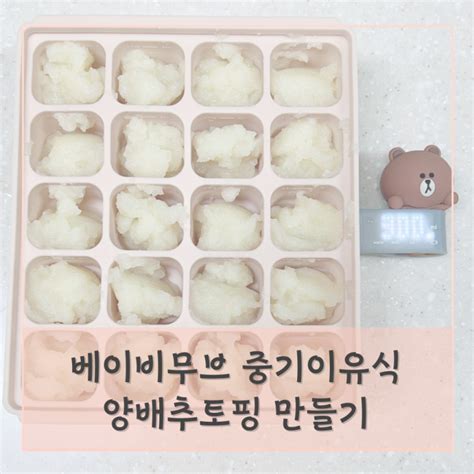 베이비무브 양배추큐브 만들기 중기 토핑이유식 네이버 블로그