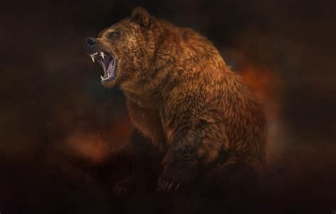 Wallpaper Style Bear Beast Art Art Brown Style Beast