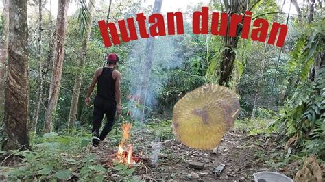 Hutan Durian Dhito Official Youtube