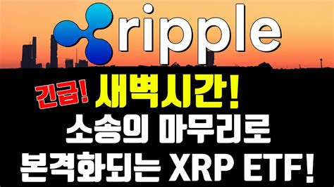 리플 긴급 새벽시간 소송의 마무리로 본격화되는 Xrp Etf Youtube