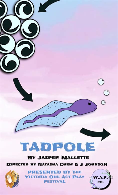 Between Words Tadpole