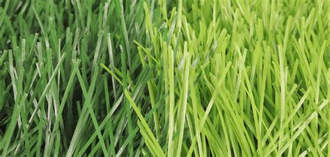 Prettie Grass -Professional Manufacturer and Supplier of Art