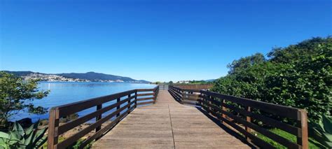 Parque de Coqueiros I Visite Floripa I Florianópolis SC