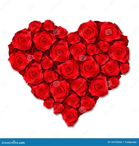 Red Roses Heart Shape stock illustration. Illustration of shape - 144743564