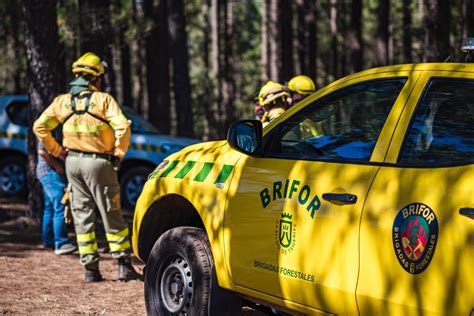 El Cabildo Activa El Plan Territorial Insular De Emergencias Ante El