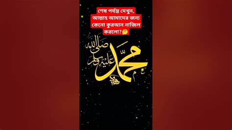 আল্লাহ আমাদের জন্য কেনো কুরআন নাজিল করলেন Shorts Islamic Youtube