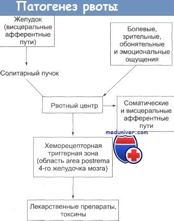 Рвота на препараты для химиотерапии опухоли - причины, лечение