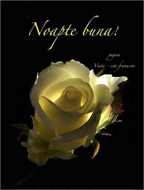 Pin by Nico N on Seară Noapte bună Flowers Cards Rose