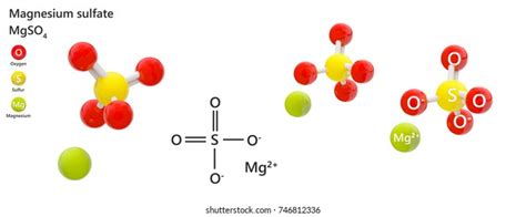 Barium Sulfate Molecular Formula Baso4 Bao4s 스톡 일러스트 733148989 Shutterstock