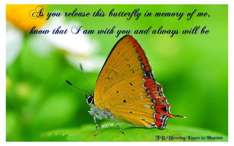 86 Best Beautiful Butterflies From Heaven Images On Pinterest