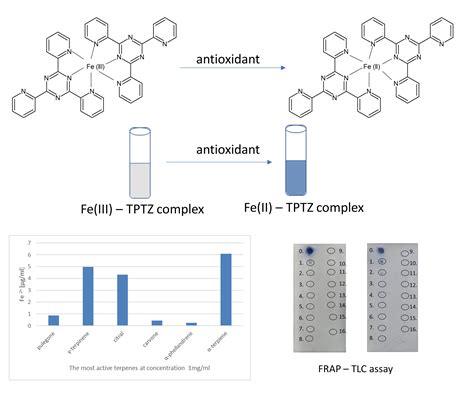 Molecules Free Full Text Approach To Optimization Of FRAP