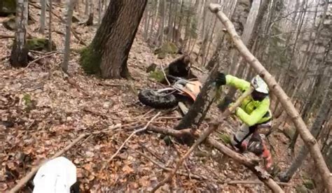 Video Bra Ov Un Urs A Atacat Un Motociclist Iresponsabil Momentul A