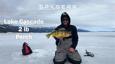 Lake Cascade Huge 2 LB Jumbo Perch Through The ICE Day 2 Fishing