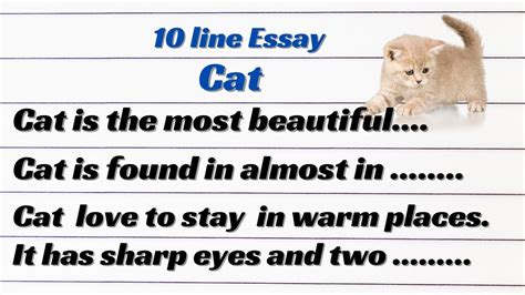 10 Lines On Cat In English Essay On Cat Cat Essay In English 10 Lines