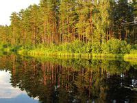 Pomysły z tablicy Roztoczański Park Narodowy 13 parki narodowe park