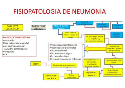 Fisiopatolog A De Neumon A Erica Af Udocz