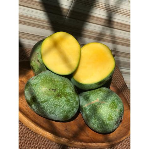 Jual MANGANOBUAH MANGGA MADU ANGGUR Shopee Indonesia