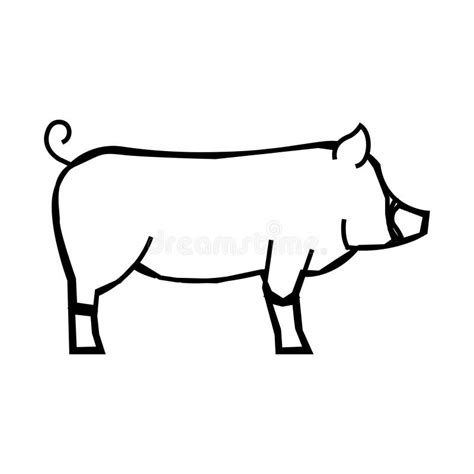 Berkshire Boar In Side View Isolated On A Pale Pink Background Stock