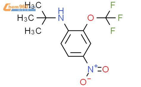 1352318 51 4 N tert butyl 4 nitro 2 trifluoromethoxy aniline化学式结构式分子