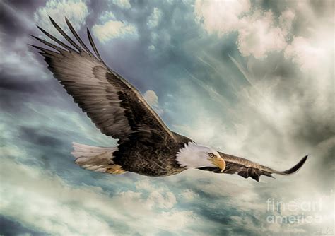 Eagle Flying Painting