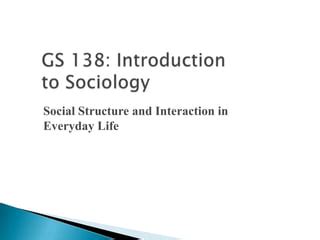 Social Structure Ppt